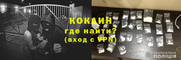 метадон Богданович